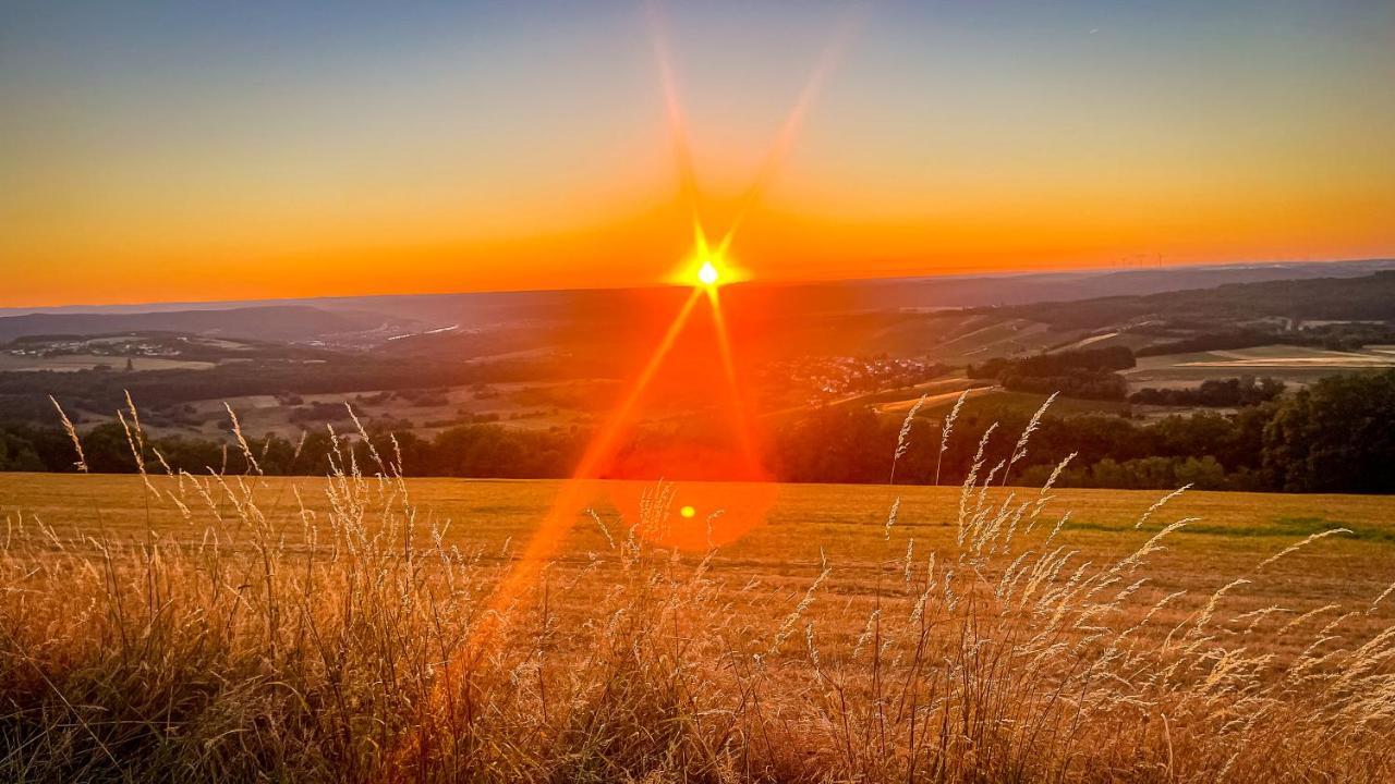 Pellinger Hof Daire Pellingen Dış mekan fotoğraf